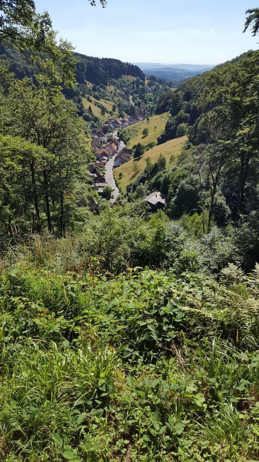 Fewo Bergblick Osterode am Harz Exteriör bild