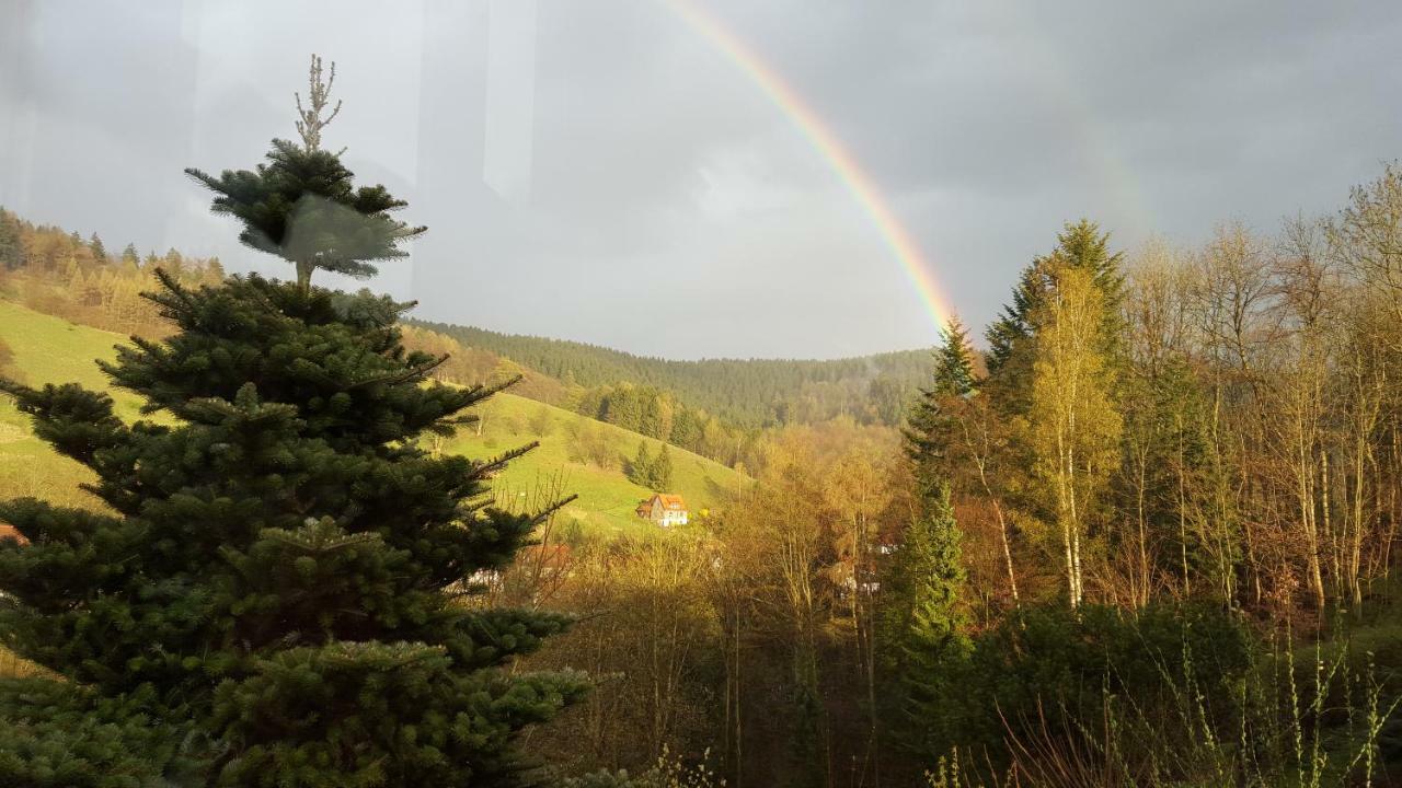 Fewo Bergblick Osterode am Harz Exteriör bild